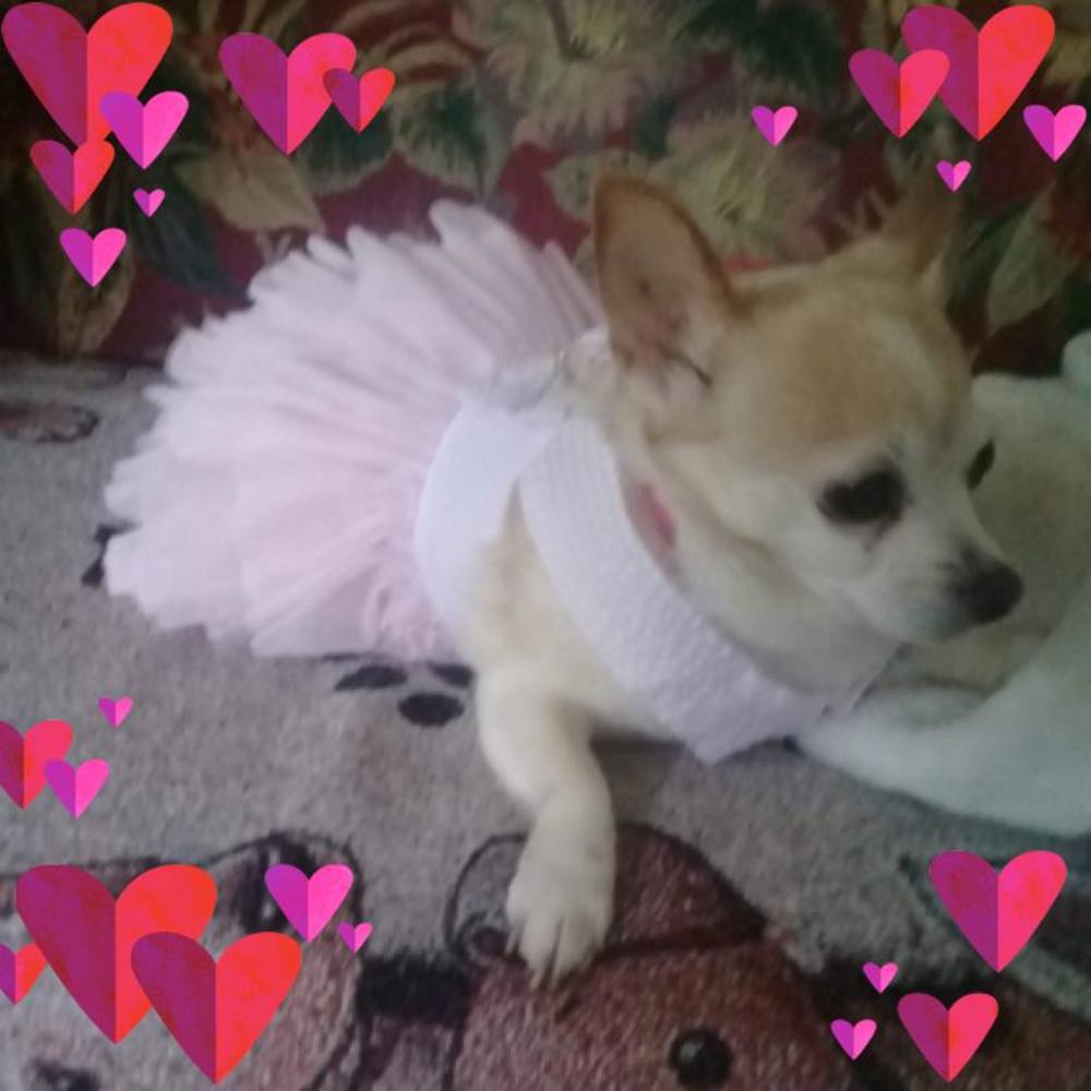 Meet your Posher, Beth